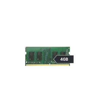 시놀로지 Synology D4NS01-4G